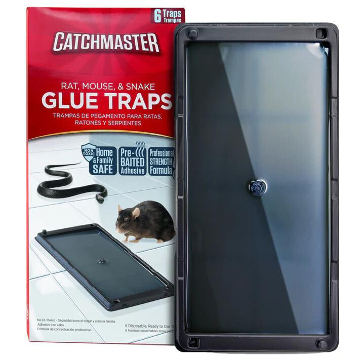 GLUE TRAPS 402