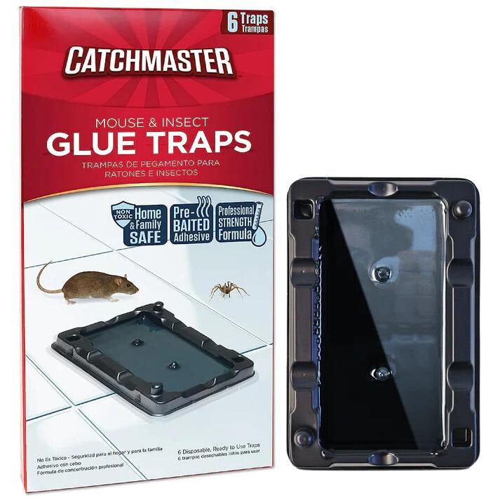 GLUE TRAPS 104